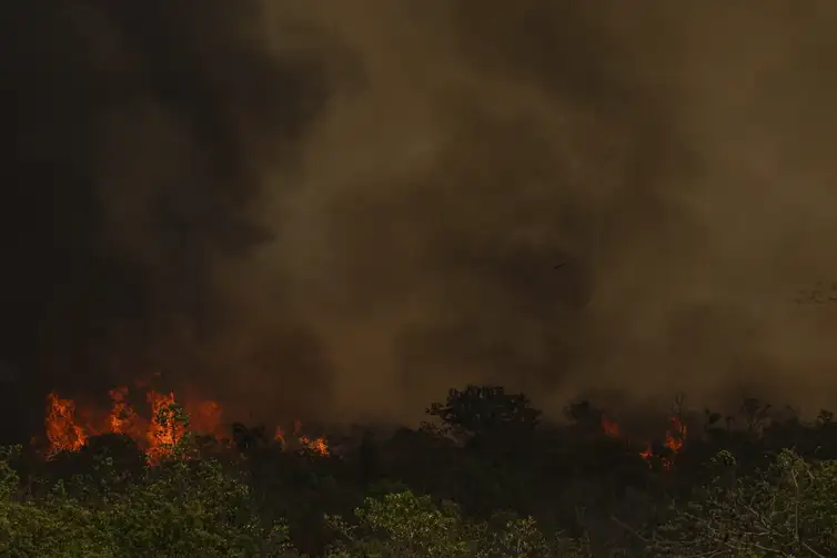 Marcelo Camargo/Agência Brasil Brasília (DF), 16/09/2024 - Grandes focos de incêndio atingem áreas do Parque Nacional de Brasília. Foto: Marcelo Camargo/Agência Brasil